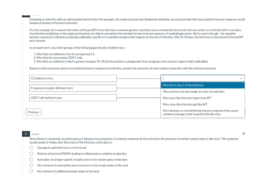 Question image 1