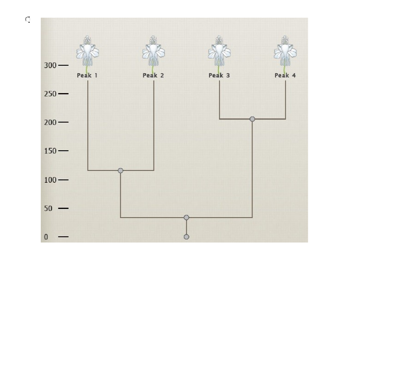 Question image 10