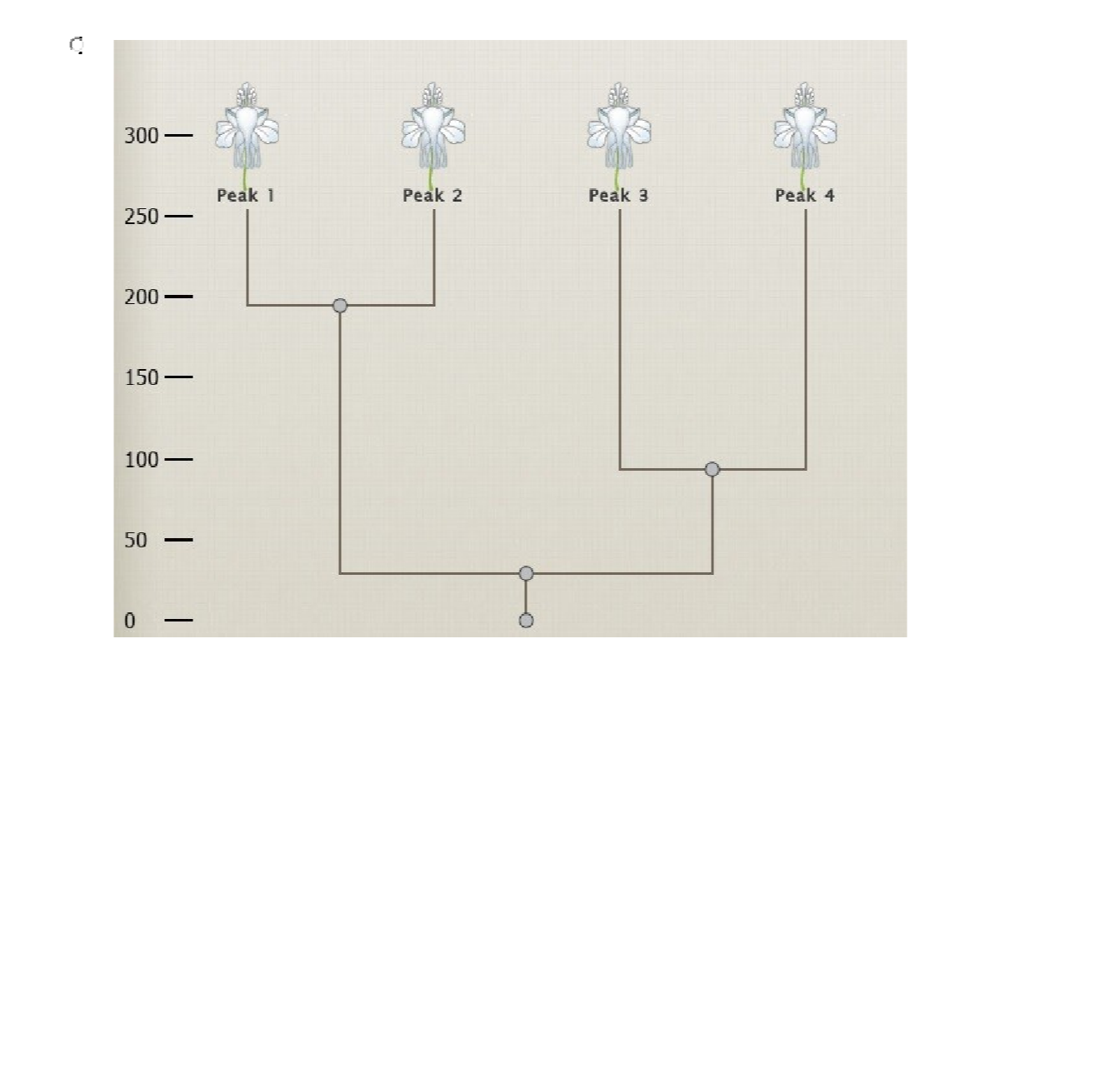 Question image 12