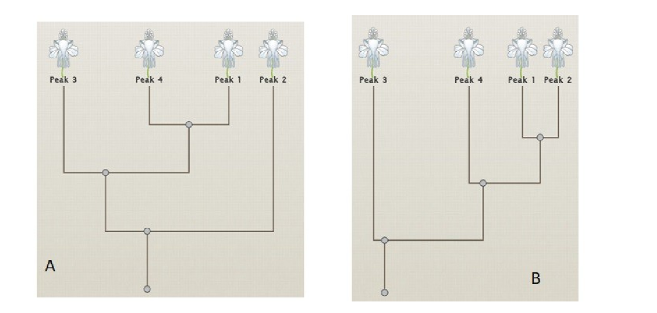 Question image 2
