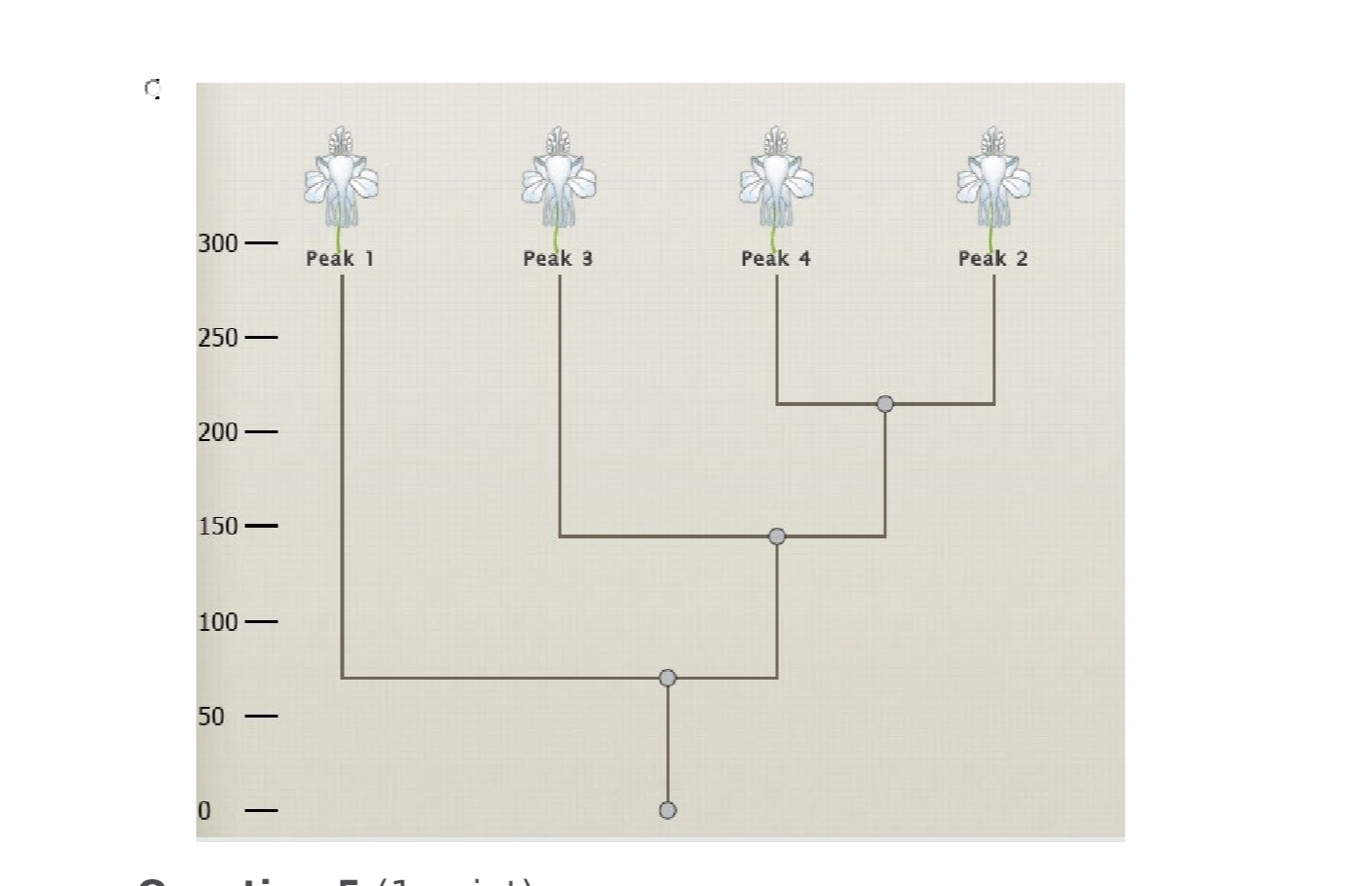 Question image 13