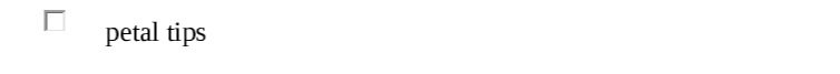 Question image 5