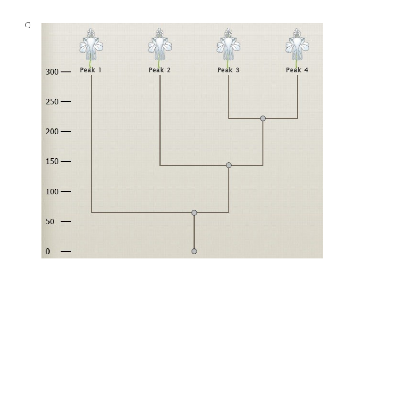 Question image 11