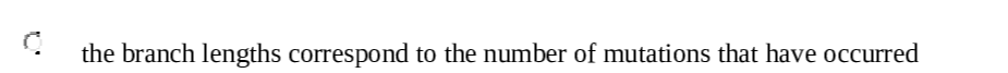 Question image 3
