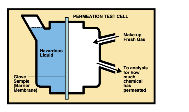 Question image 3