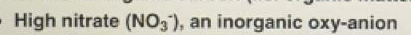 Question image 6