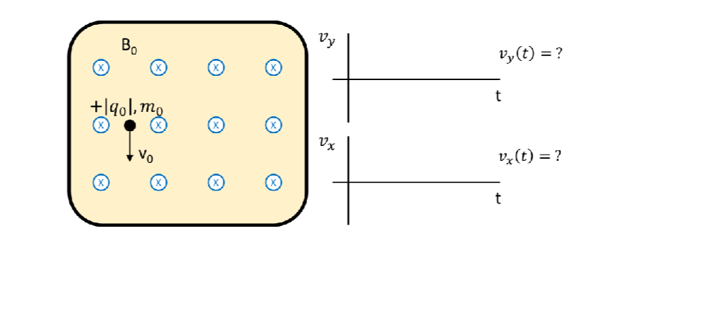 Question image 3