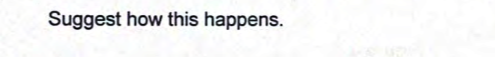 Question image 4