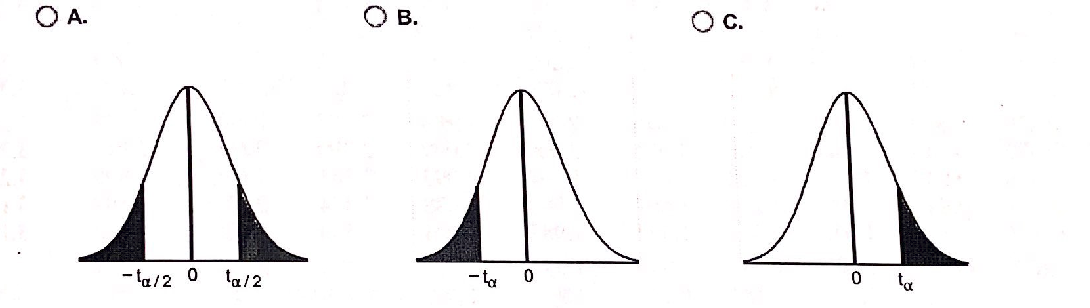 Question image 7