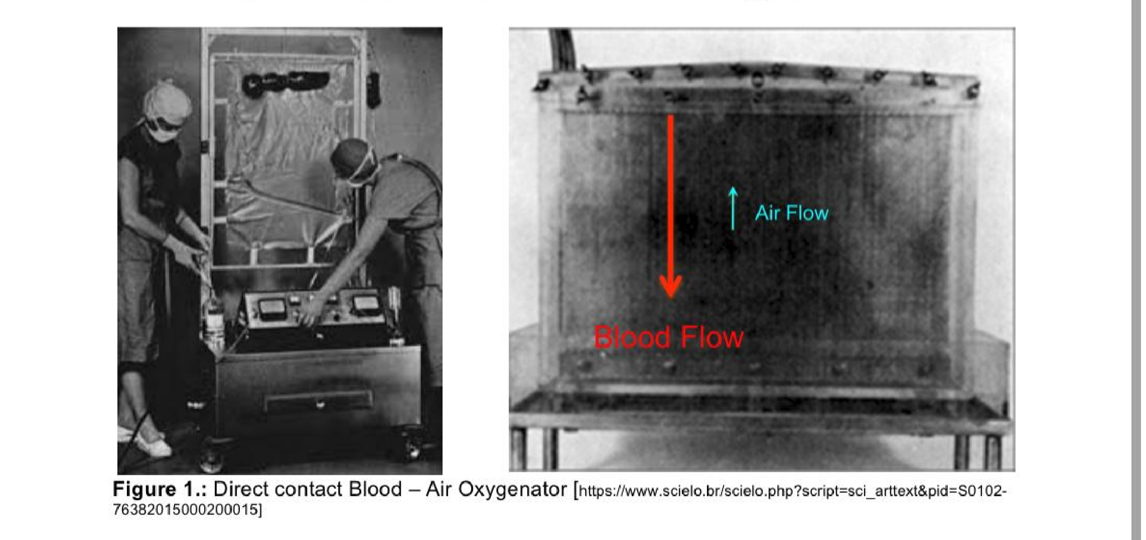 Question image 2