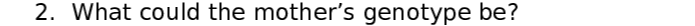 Question image 3