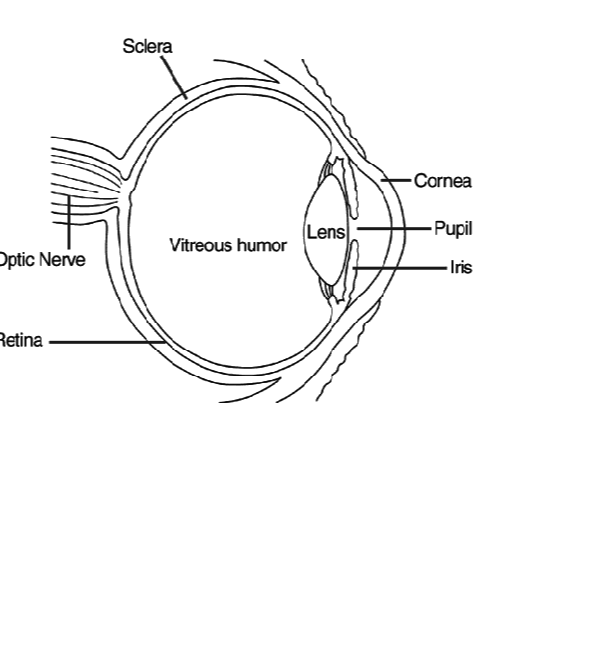 Question image 2